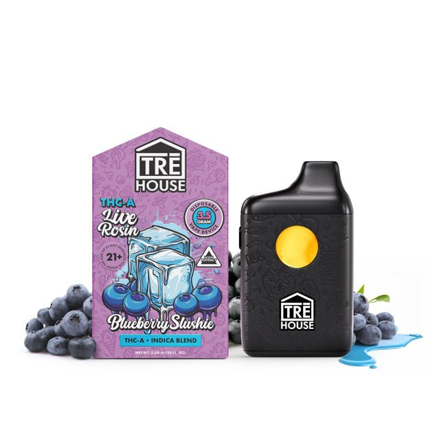 TreHouse THC - A Disposable Vape - 3.5g Indica - Blueberry Slushie | Consumables | 420 Science